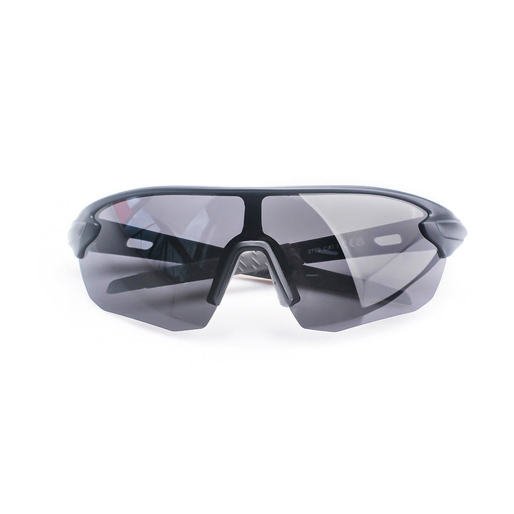 Sunglasses "Velocity"